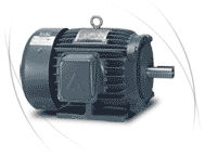 Teco brake motors