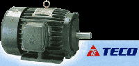 Teco brake motors 2