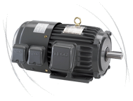 Teco Inverter Motor