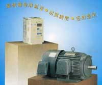 Teco Inverter Motor 2