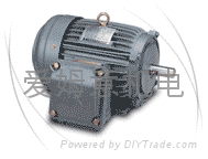 Increased safety explosion-proof motor TECO
