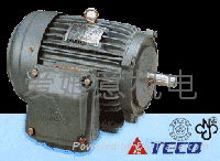Increased safety explosion-proof motor TECO 2