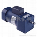 Induction motor 