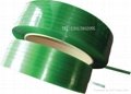 PET绿色透明塑钢带