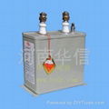 河南華信電子ASMJ/BSMJ電力補償（濾波）電容器 1