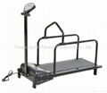 Mini dog treadmill 2