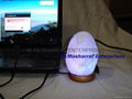 HIMALAYAN SALT USB NATURAL TINY LAMP 4