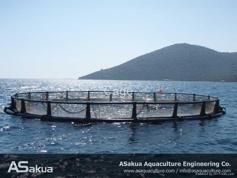 Fish Farm 4