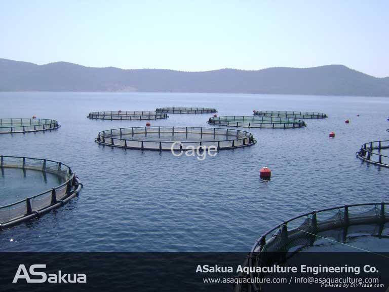 Fish Farm