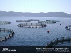 Fish Farm