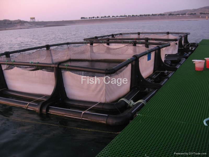 Fish Farm 2