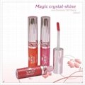 Lip Gloss Magic Crystal 3D Diamonds