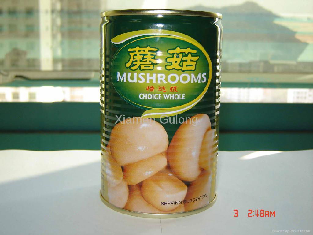 Canned Mushroom 400G/425G OEM/Gulong Brand (China Manufacturer