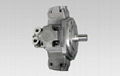 RADIAL PISTON HYDRAULIC MOTORS