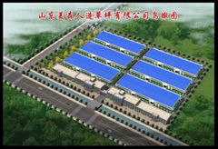 Shandong Meisen Artificial Lawn Co., Ltd