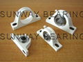 Pillow block bearing 2