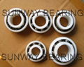 Plastic bearing UC205