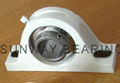 Pillow block bearing 1