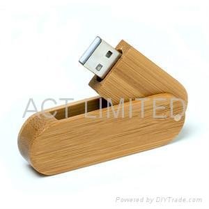Wooden USB Memory 2