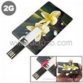 Card USB Memory Stick 4