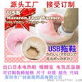 USB warm shoes