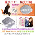 USB warm cushion