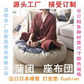 USB warm cushion