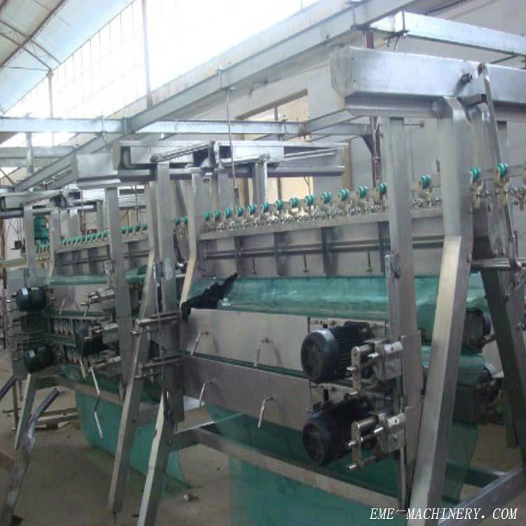 A- Type Poultry Plucking Machine 2