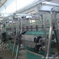 A- Type Poultry Plucking Machine