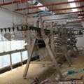 A- Type Poultry Plucking Machine 5
