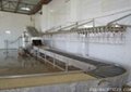 Poultry Cage Convey and Cleaning Machine 2