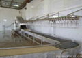 Poultry Cage Convey and Cleaning Machine