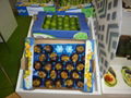 SGS certificate 29x49cm 39x59cm Plastic Fruit Nest Tray  