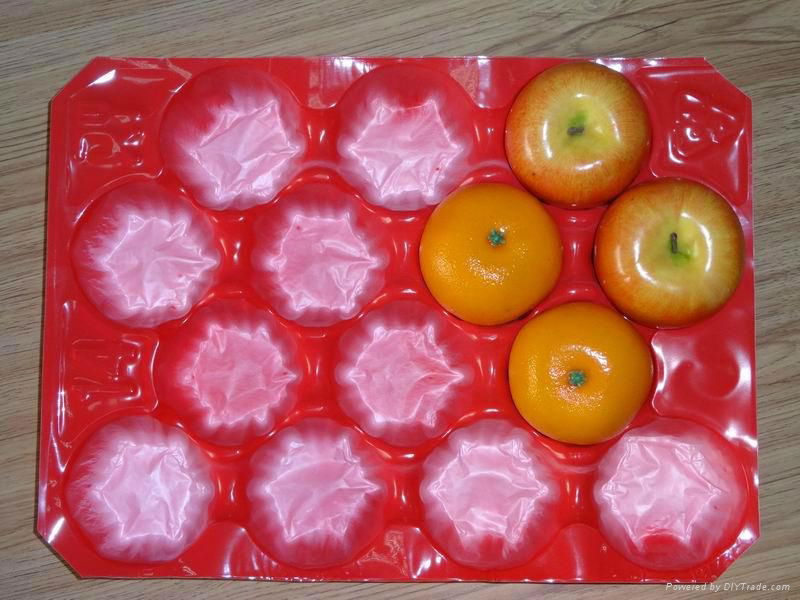 China Made High Quality Packaging Plastic Food Tray  2