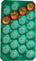 Blue Black 39x59cm PP tomato tray Liner 2