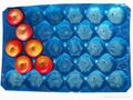 Blue Black 39x59cm PP tomato tray Liner 3