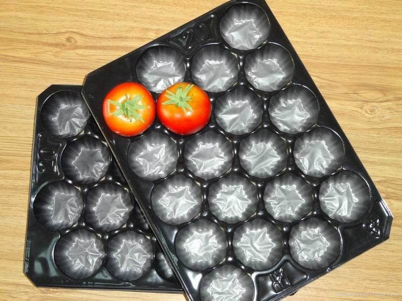 Blue Black 39x59cm PP tomato tray Liner 5