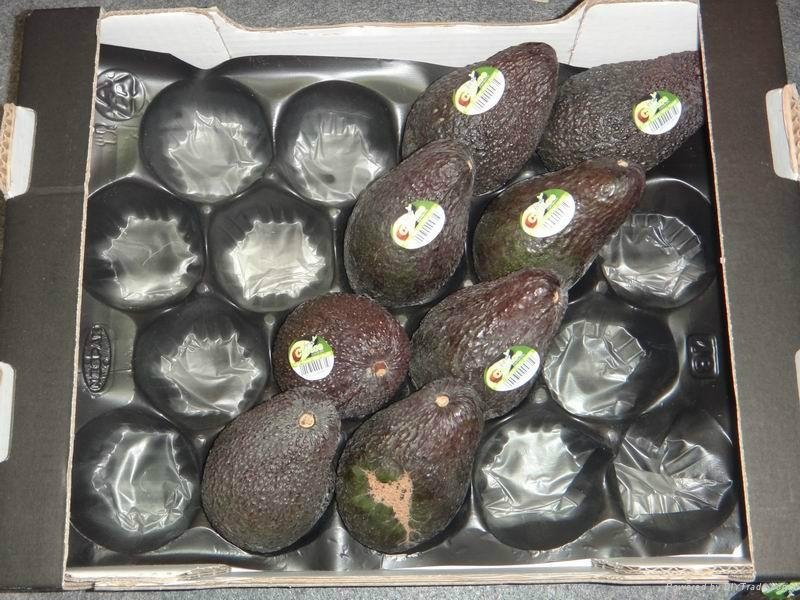 SGS Certificate Different Sizes Fresh Packaging Plastic  Fruit Tray 