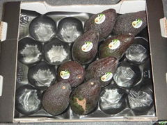 SGS Certificate Different Sizes Fresh Packaging Plastic  Fruit Tray