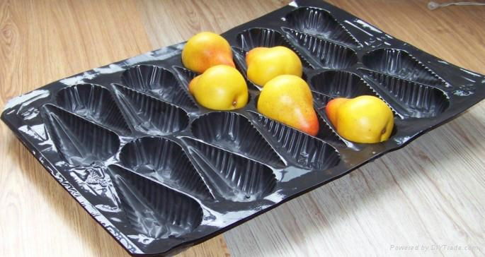 SGS Certificate Different Sizes Fresh Packaging Plastic  Fruit Tray  3