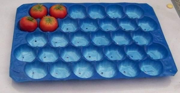 SGS Certificate Different Sizes Fresh Packaging Plastic  Fruit Tray  4