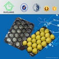 China Made 29x49cm PP Tray Kiwi Packaging 4