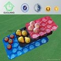 China Manufacturer 29x39cm 29x49cm Plastic Fruit Insert Tray 