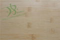 Bamboo Veneer (Natural Color,Horizontal)