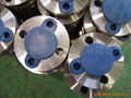 stainless flange 2