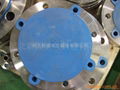 stainless flange 4