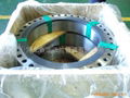 stainless flange 5