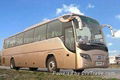 30-55 luxury tour buses