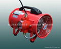 Explosion proof axial flow fan 1