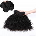 Malaysian Peruvian Brazilian Curly Hair Weaves Jerry Curl Unprocessed Human Hair 1